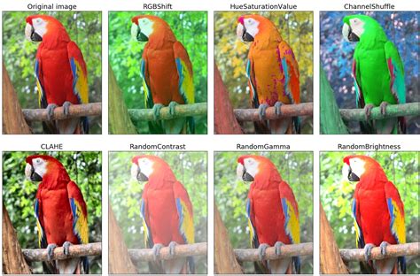 image_dataset_from_directory but I am not sure if the image augmentations are being applied so I want to be able to view some of the images aft. . Albumentations normalize